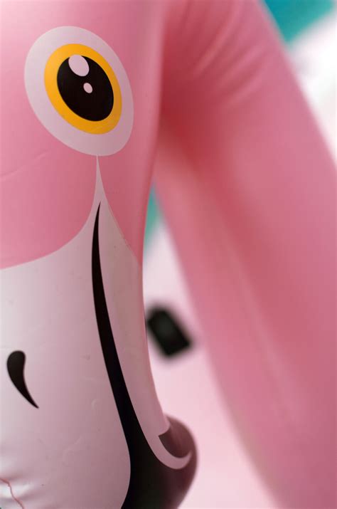 Image result for How to Deflate Inflatable Flamingo