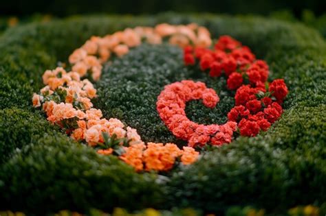 Taoism 的图像结果