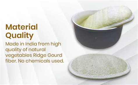 Combo Natural Loofah Organic Vegetables Ridge Gourd Fiber loofah (Total ...