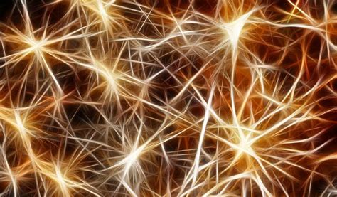 Java Jdeps Example 的图像结果