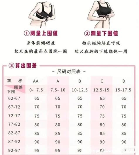 胸围尺寸尺码对照表，女生标准罩杯ABCD尺码表(附测量方法) — 神奇养生网