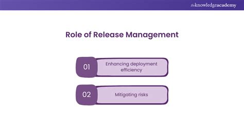 Image result for Database Release Management
