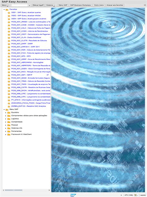 SAP GUI HTML 的图像结果