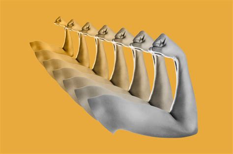 Image result for Muscle Memory Examples