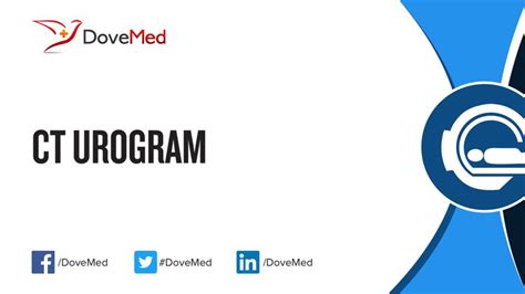 Image result for What Is a CD Urogram Scan Procedure