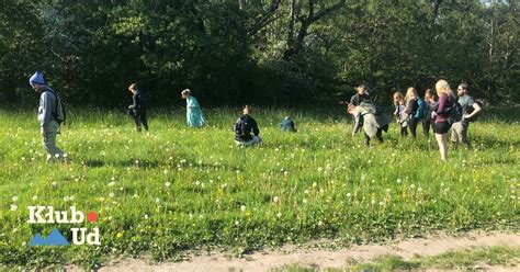 Sank skov og kyst – Boserup, Parkering - Boserup skov, Roskilde, 21 May ...