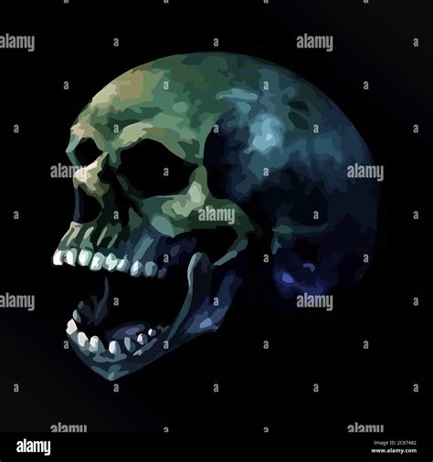 Human skull open mouth hi-res stock photography and images - Alamy