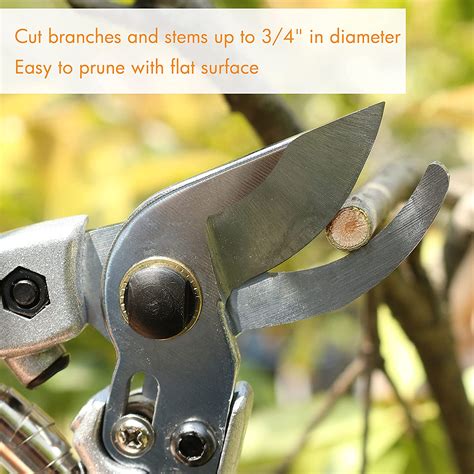 Buy Gardzen 8 Bypass Pruning Shear Garden Scissors, SK5 Sharp Precision ...