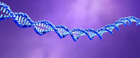 Understanding Myotonic Dystrophy: NMN's Potential Role