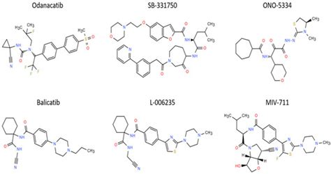 Cathepsin K Inhibitors as Potential Drugs for the Treatment of ...