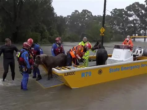 Heavy rains, floods prompt evacuations of Sydney suburbs - 'Life ...