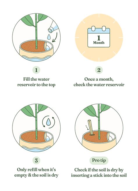 Image result for Planting Rubber Tree