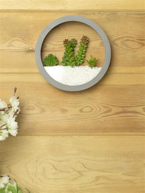 Elegant Round Transparent Wall Hanging Terrarium – MARKET99
