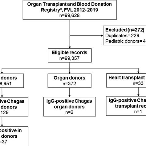 Data Management Process 的图像结果