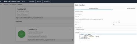 Oracle 12C Restful Tutorial 的图像结果