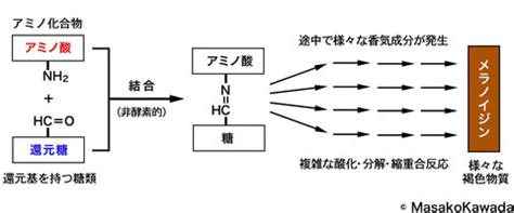 Image result for Example of New Program