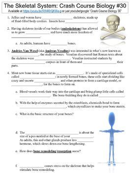 Image result for Crash Course Skeletal System