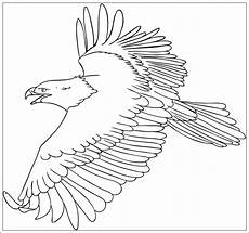 ausmalbilder zum ausdrucken adler ausmalbilder zum ausdrucken ausmalbilder adler ausmalbilder zum ausdrucken adler ausmalbilder zum ausdrucken ausmalbilder adler