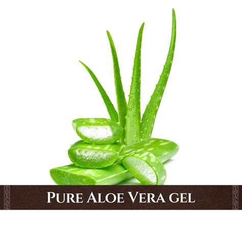 Herbal Face Wash Powder for All Skin Types – Samudhrika Lakshana