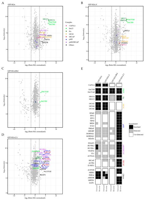 JAZF1, A Novel p400/TIP60/NuA4 Complex Member, Regulates H2A.Z ...