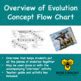 Evolution Process Flow Chart 的图像结果