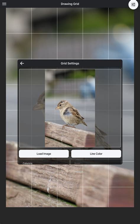 Image result for Drawing Grid Maker Download