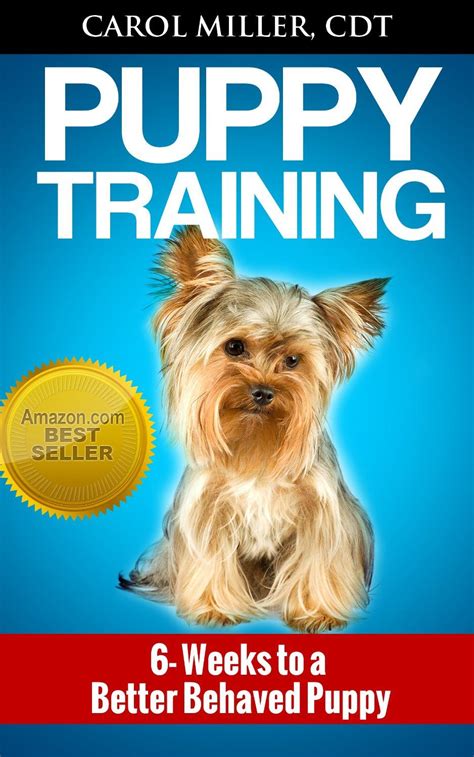 personal training 6 weeks