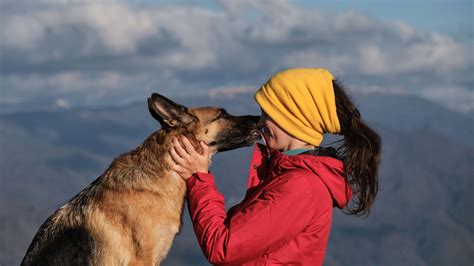 Can A Human And A Dog Breed: The Biological Reality You Need To Know