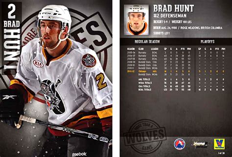 Image result for Wolves 2012