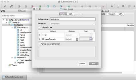 SQLite Studio Tutorial 的图像结果