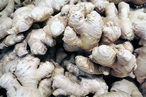 Underground Stem Ginger