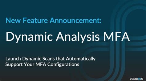 Image result for Veracode Dynamic Analysis