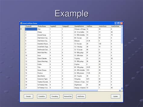 DataGridView Tutorial 的图像结果