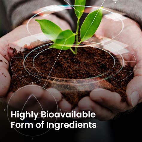 FIBROIDS SUPPLEMENT BUNDLE - Miduty