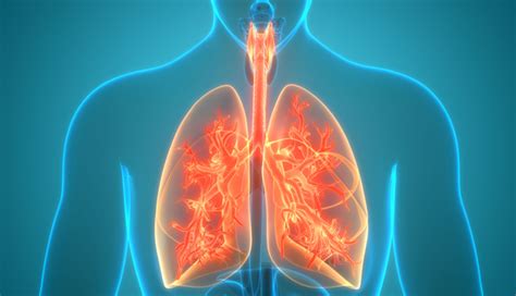 9 Health Benefits Of Chervil You Need To Know About - lifeberrys.com