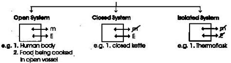 Thermodynamics, Class 11, Chemistry Detailed Chapter Notes PDF Download