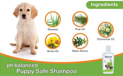 Buy Pil Neem Plus Herbal Pet Shampoo 200 Ml | Puppy Safe Shampoo | Anti ...