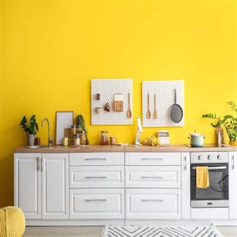 155 Straight Modular Kitchen Design Ideas, Price and Images 2025