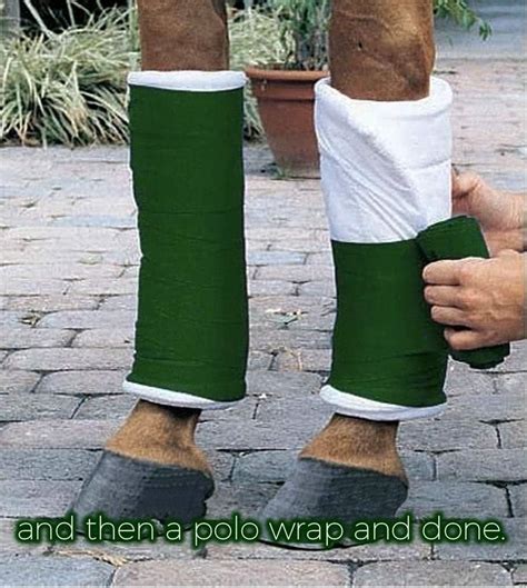 RUNNER'SRELIEF Therapeutic Poultice Tightener for Bowed Tendon India | Ubuy