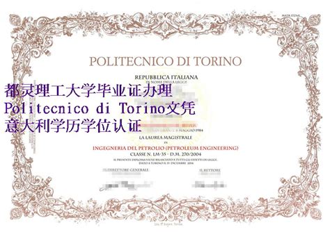 购买意大利Politecnico di Torino文凭篇|补办格都灵理工大学毕业证正确步骤 - 蓝玫留学机构