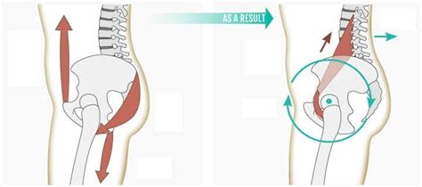 Image result for Targeted Spinal Release Method Scam