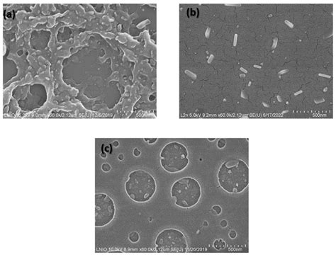Facile Synthesis of Palladium Nanorods: Self-Assembly into Thin 2D ...