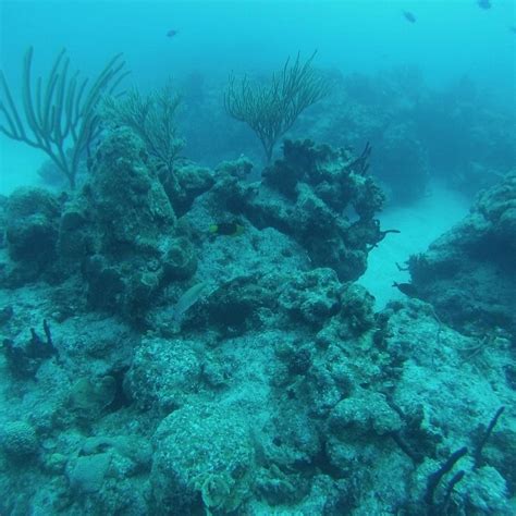 RAINBOW REEF (2025) All You Need to Know BEFORE You Go (with Photos ...