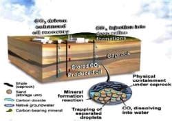 Shankar IAS Summary: Mitigation Strategies - Famous Books for UPSC Exam ...