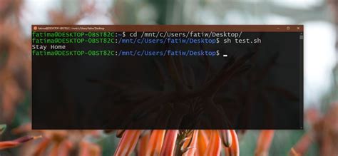 Image result for How to Run Windows Command Script
