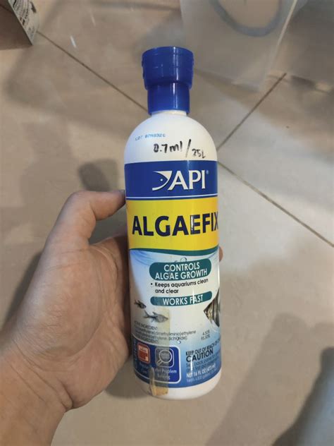 Image result for How to Use API AlgaeFix