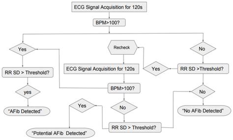 Early Detection of Atrial Fibrillation Based on ECG Signals