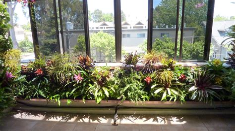 Atrium Garden