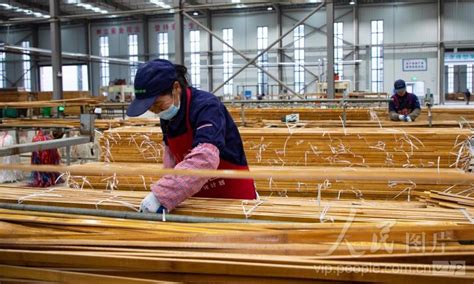 湖南怀化：“以竹代塑”生产忙-人民图片网