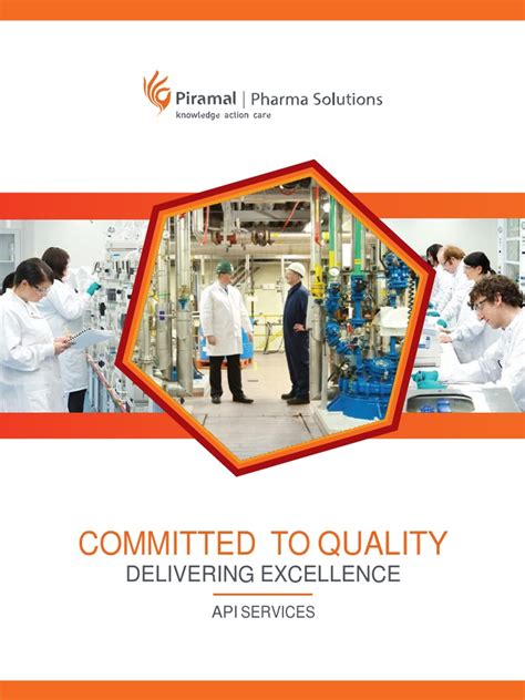 Image result for API Pharmaceutical Manufacturing Process